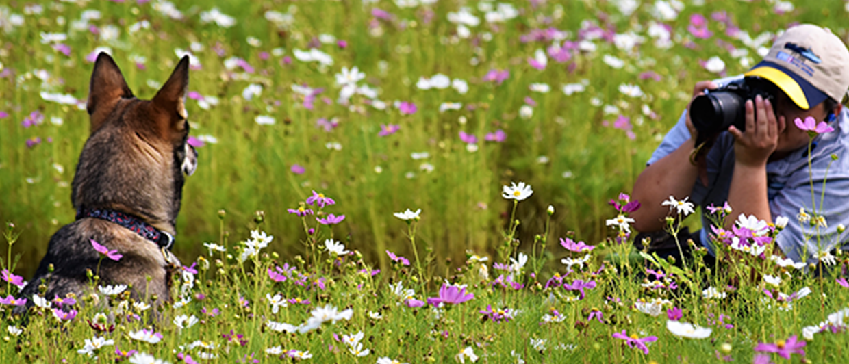 Kelly & Clara in a field of flowers