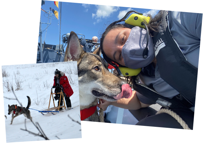 PT Boat Service Dog, Yearling Sled Clara