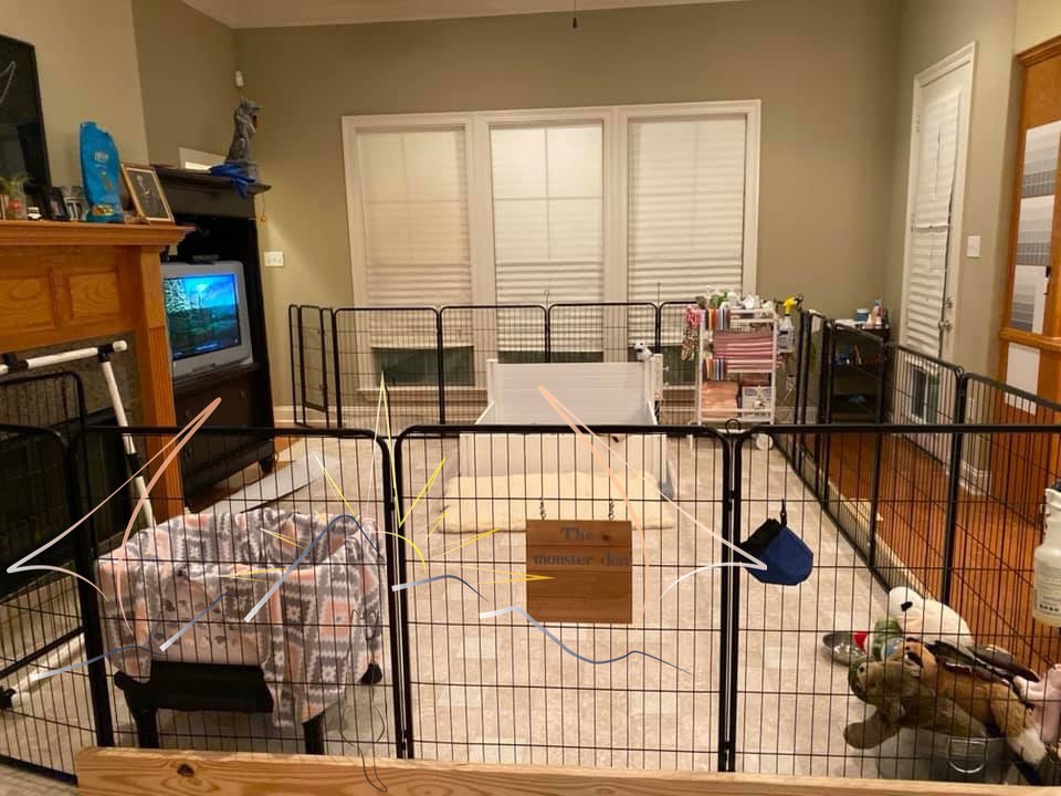 Overview of our whelping pen. Inside is a whelping box, bumpper bed, basket with blanket to the left, bucket of toys to the right, and a medical supply cart by whelping box.