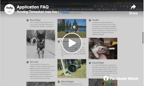 Screen shot of Appcation FAQ facebook live video