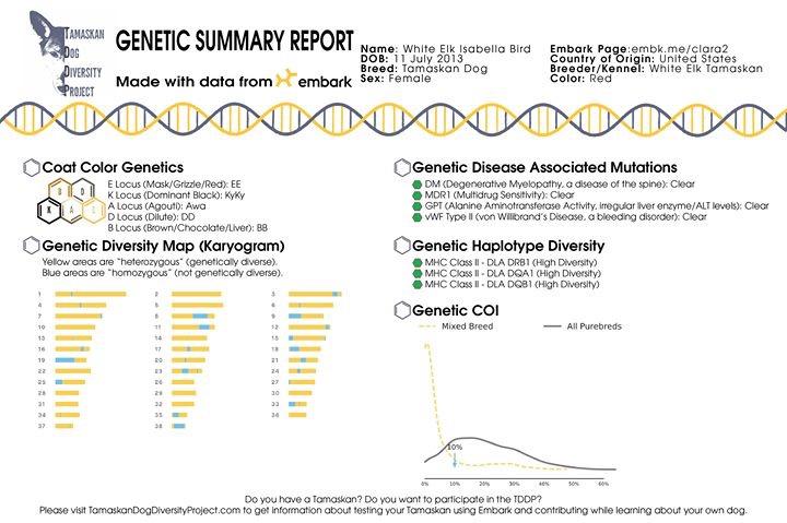 TDDP, Clara's Genetic Report