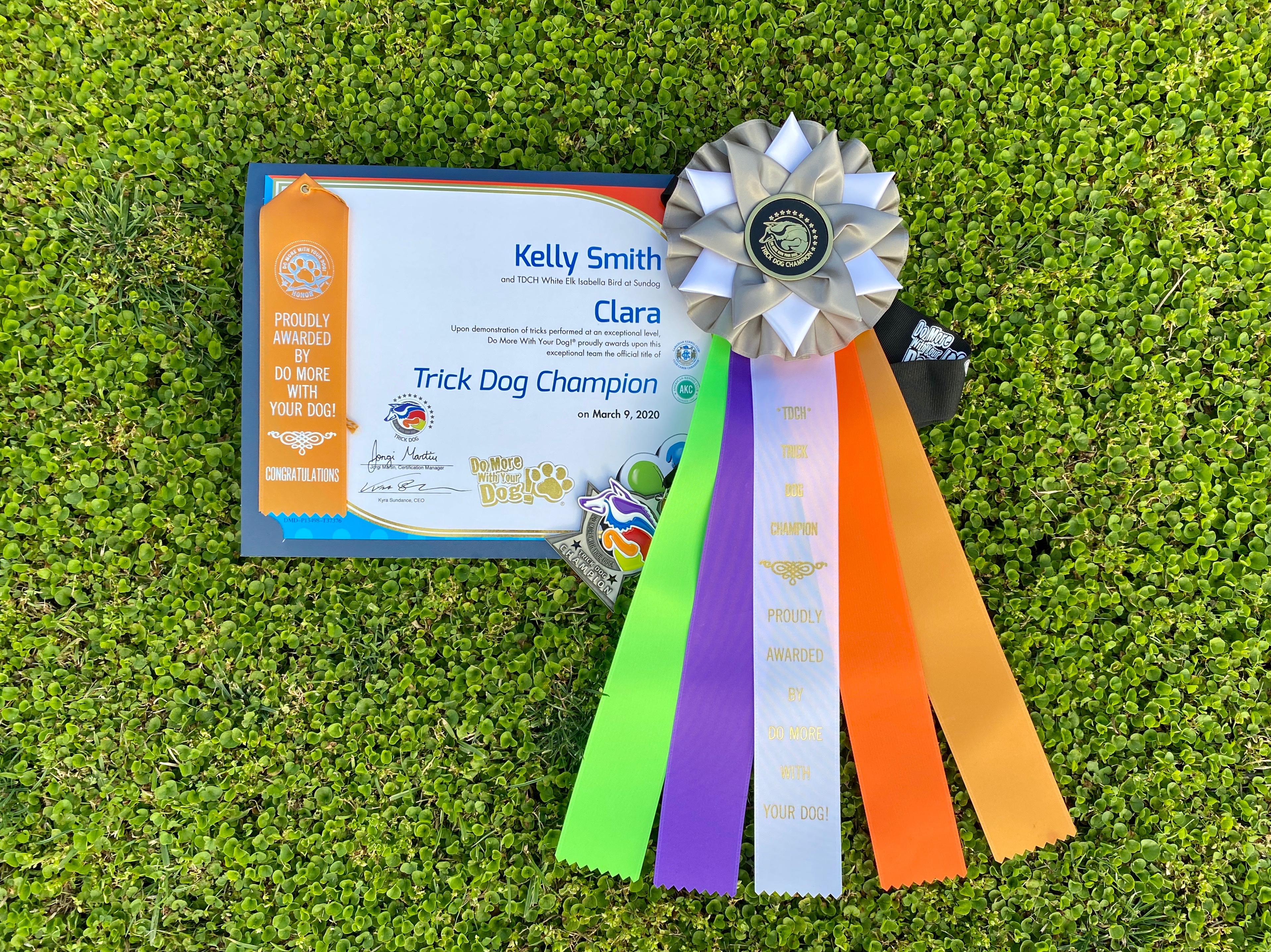 Clara's Certificate, ribbon, and medal
