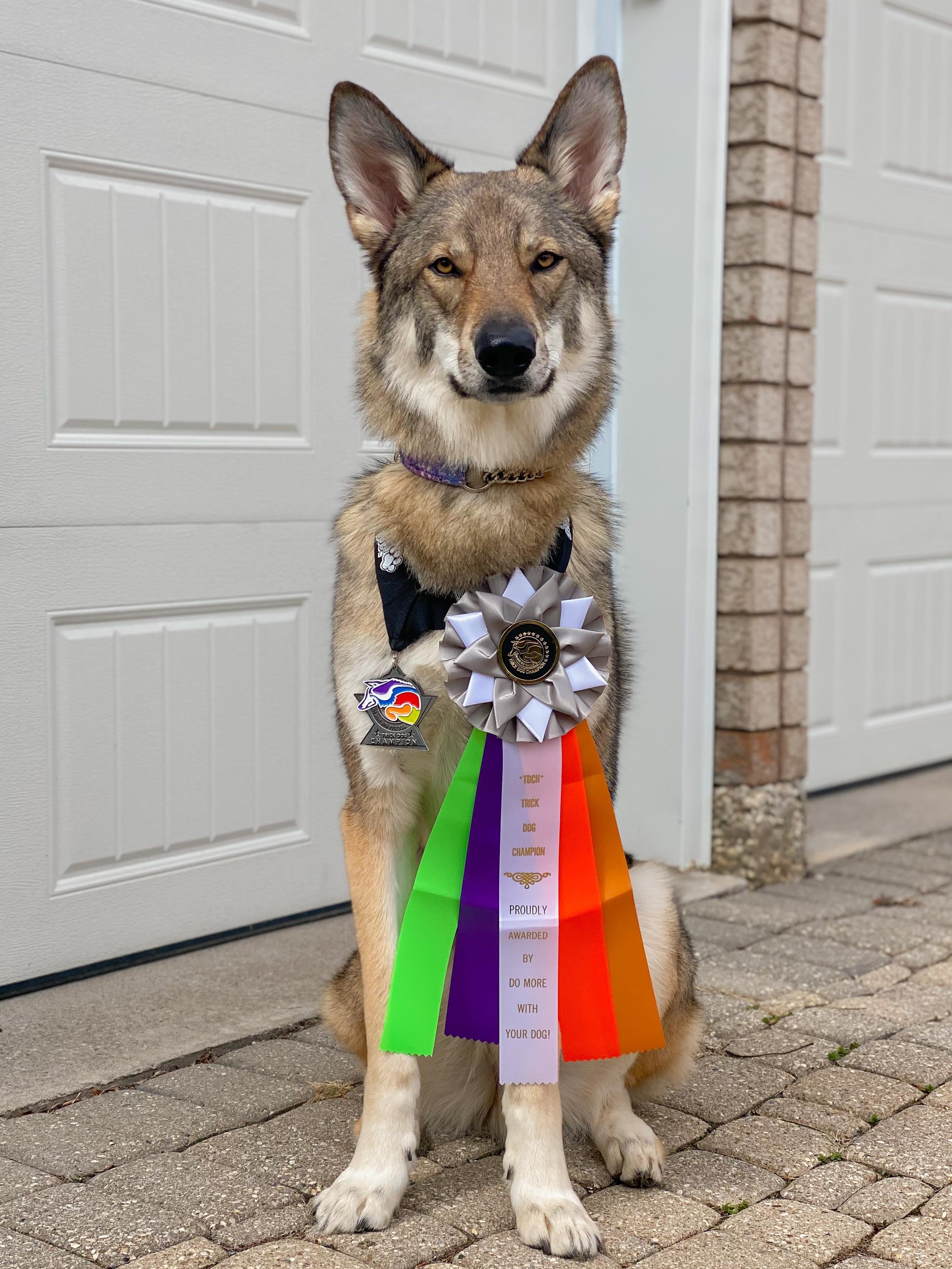 Raiden sitting wearing his ribbon and medal