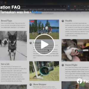  Screen shot of Appcation FAQ facebook live video