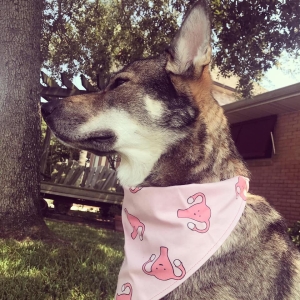 Clara sitting in front of a red brick house looking left in profile with a pink bandana covered in smiling ovaries