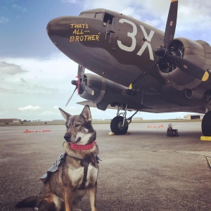 Clara standing next to an operational aircraft (That's All - Brother) on a live flight-line