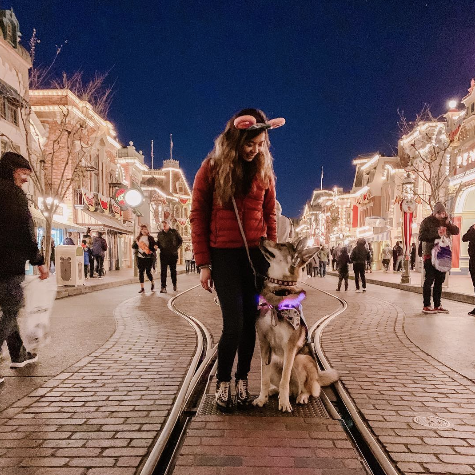 Raiden and his handler standing on main street in Disneyland
