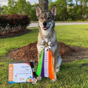 Clara sitting in front of a tree wearing a TDCH ribbon with her certificat and medal sitting to the left