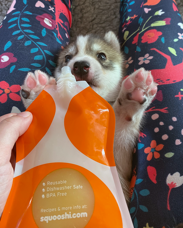 04 Gayle Watkins PhD